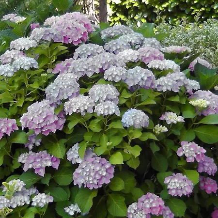 Appartement Lavanda 2