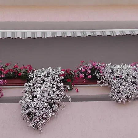 Apartament Lavanda 2 *